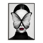 Tableau Year of the butterfly